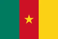 This is Away Team logo: Cameroon