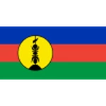  This is Home Team logo: New Caledonia