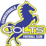 This is Logo of Home Team: Cumbernauld Colts